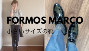 FOREMOS marco